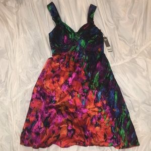 Colorful Silk Dress